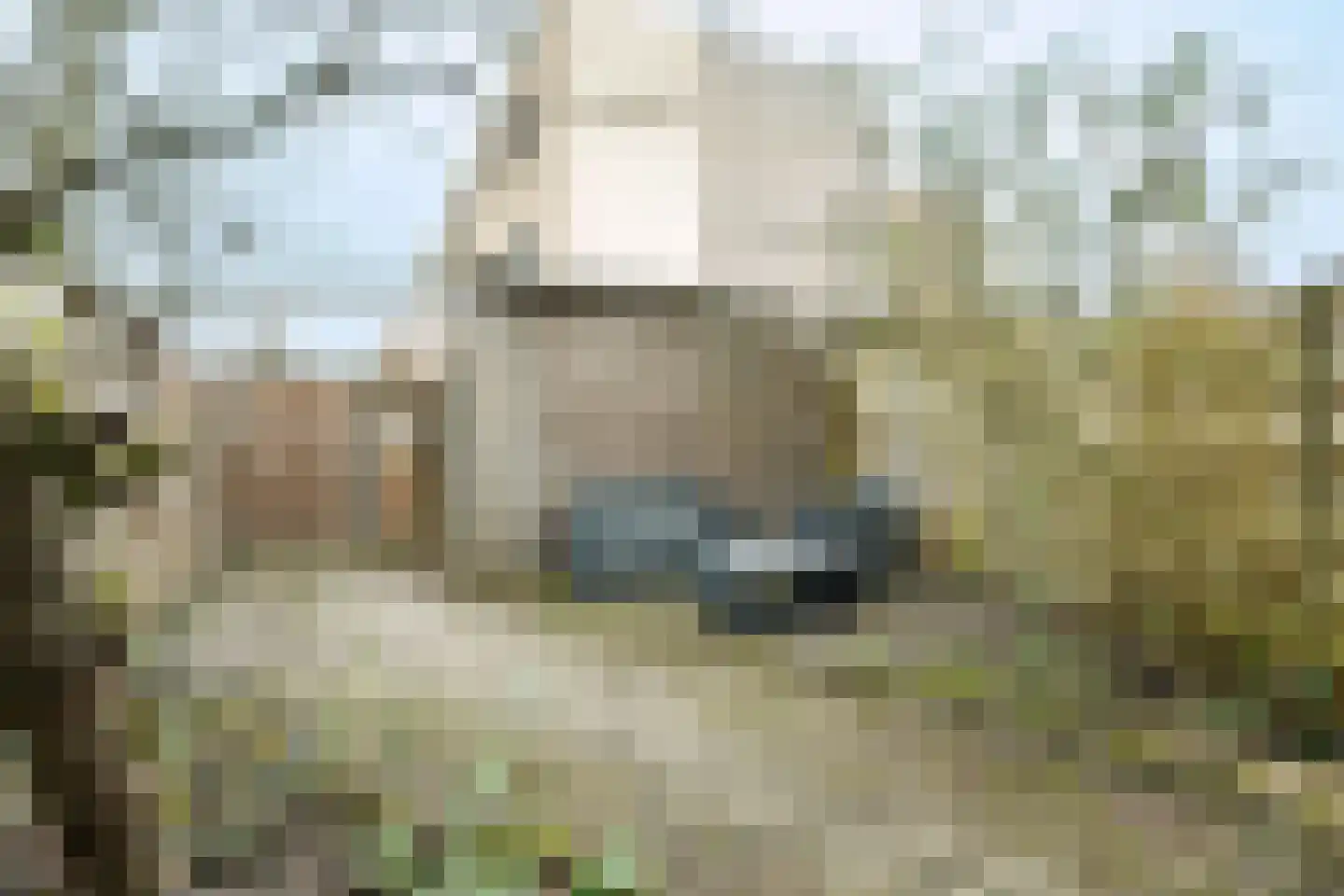 Godfried Bomansstraat 9 Wageningen thumbnail 28