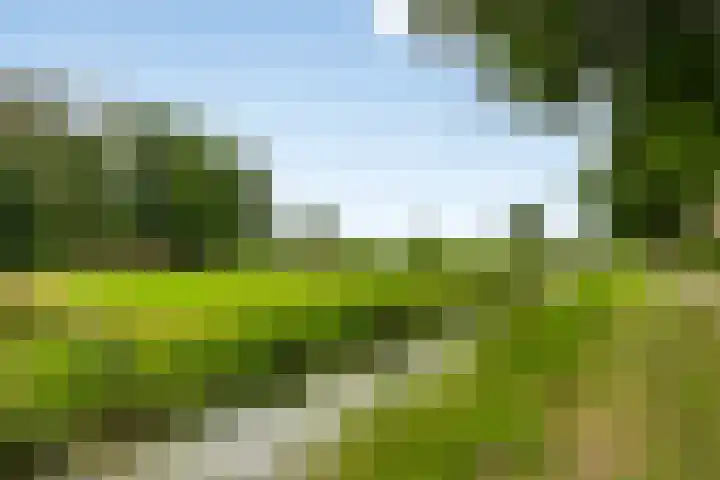 Godfried Bomansstraat 96 Hengelo thumbnail 32