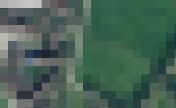 Godfried Bomansstraat 96 Hengelo thumbnail 33