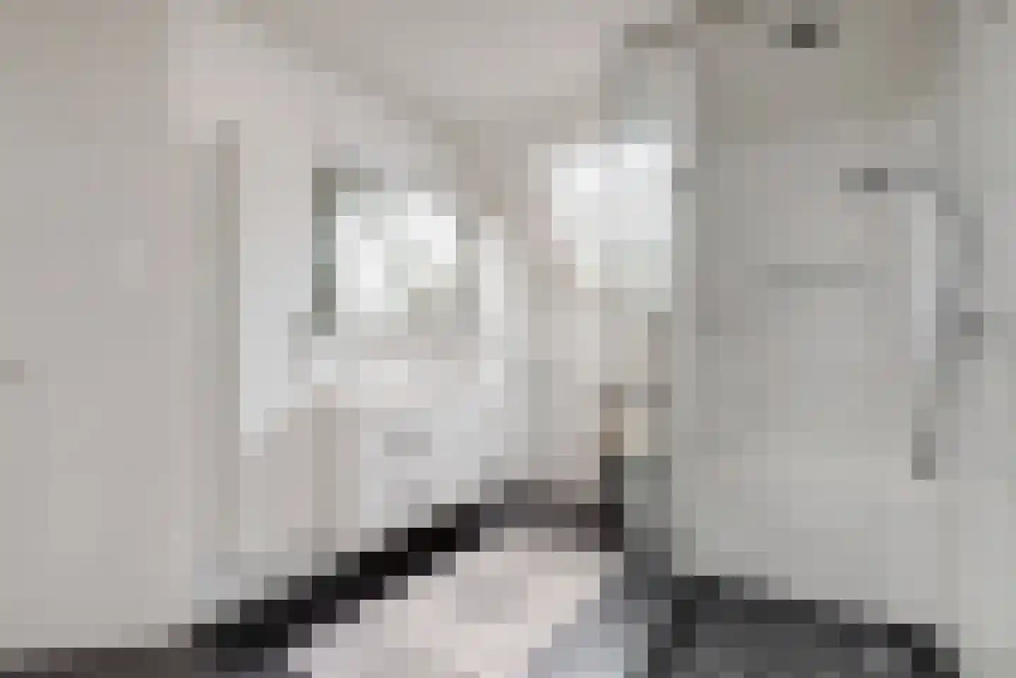Godfried Bomansweg 17 Woerden thumbnail 10