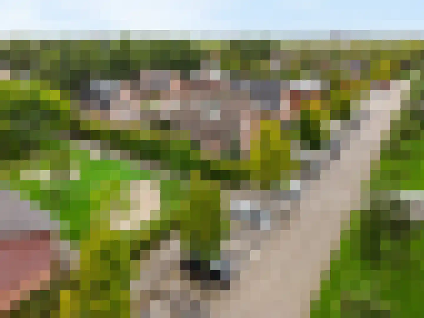 Godfried Bomansweg 17 Woerden thumbnail 13