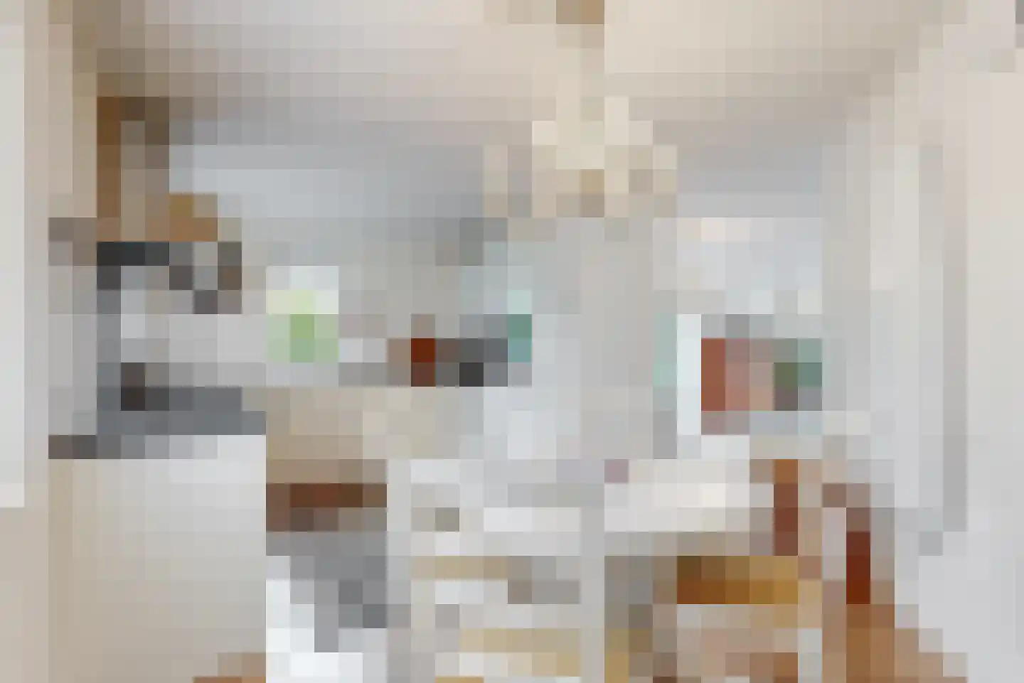 Godfried Bomansweg 17 Woerden thumbnail 21