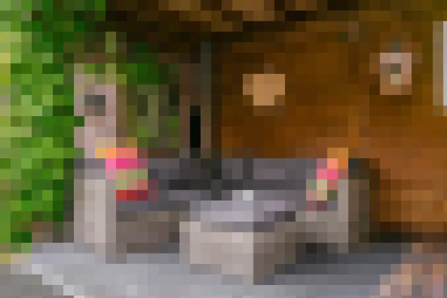 Godfried Bomansweg 17 Woerden thumbnail 42