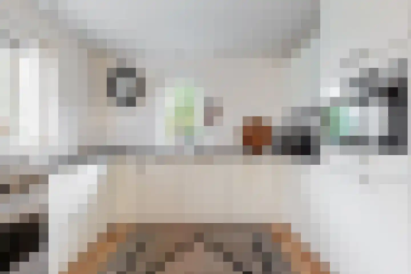 Godfried Bomansweg 17 Woerden thumbnail 5