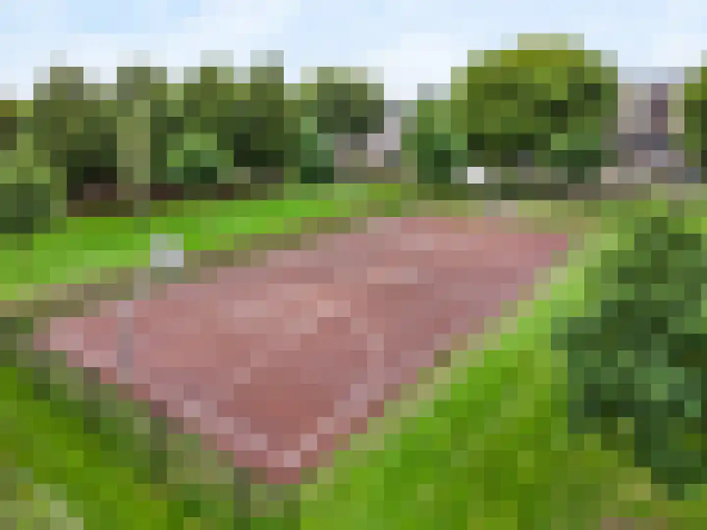 Godfried Bomansweg 17 Woerden thumbnail 55