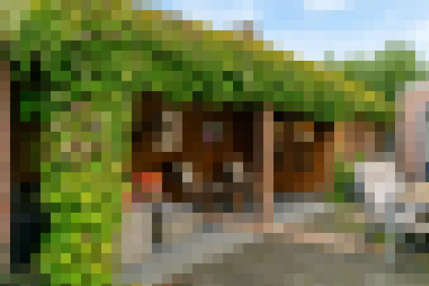 Godfried Bomansweg 17 Woerden thumbnail 8