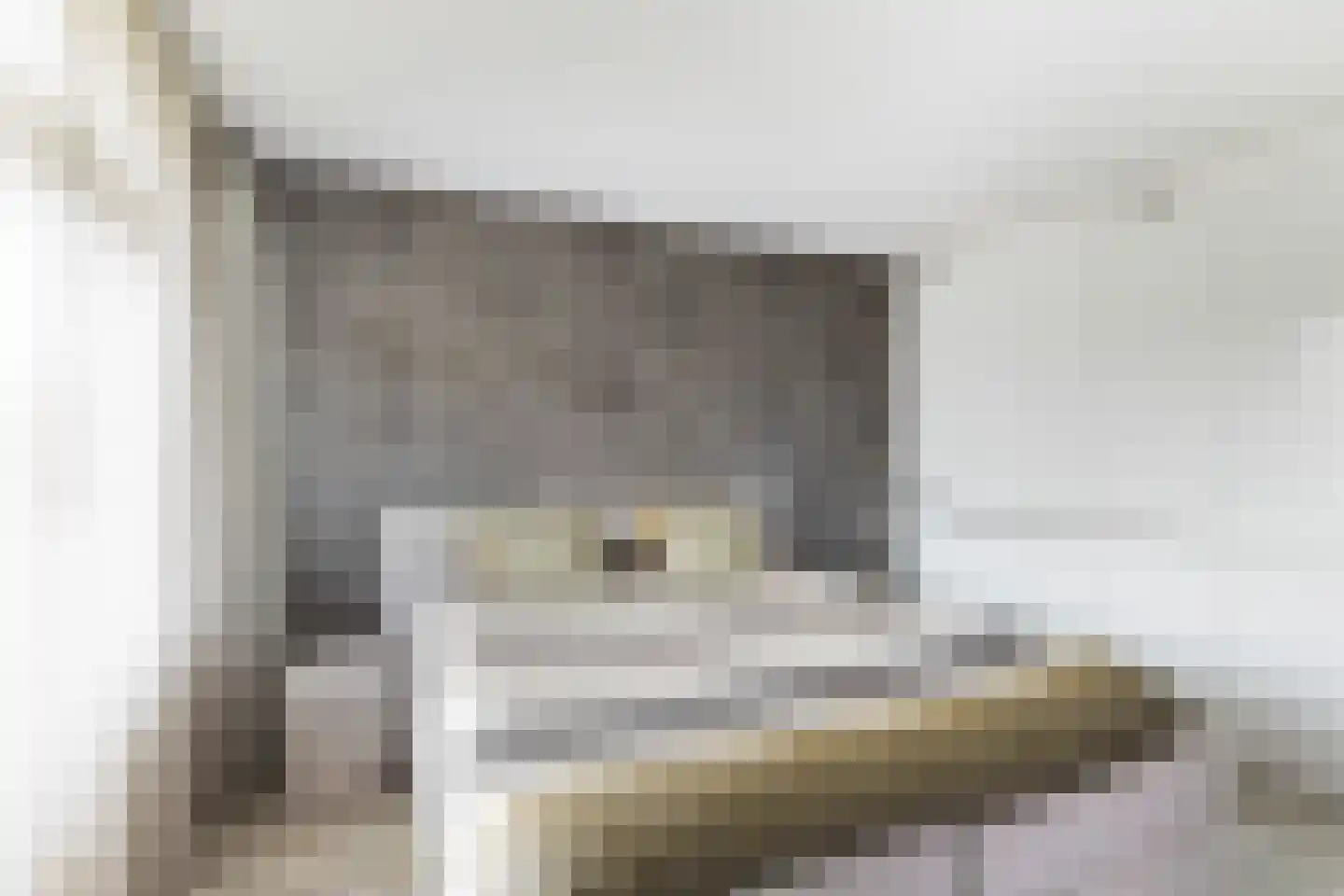 Godfried Bomansweg 18 Woerden thumbnail 19