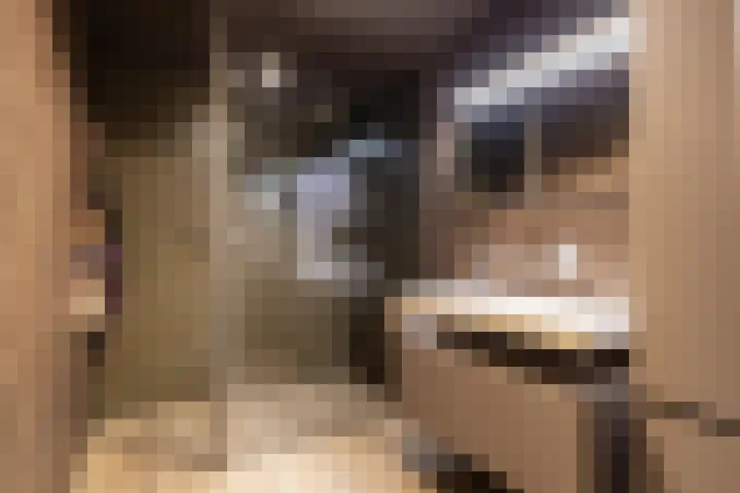 Godfried Bomansweg 18 Woerden thumbnail 24