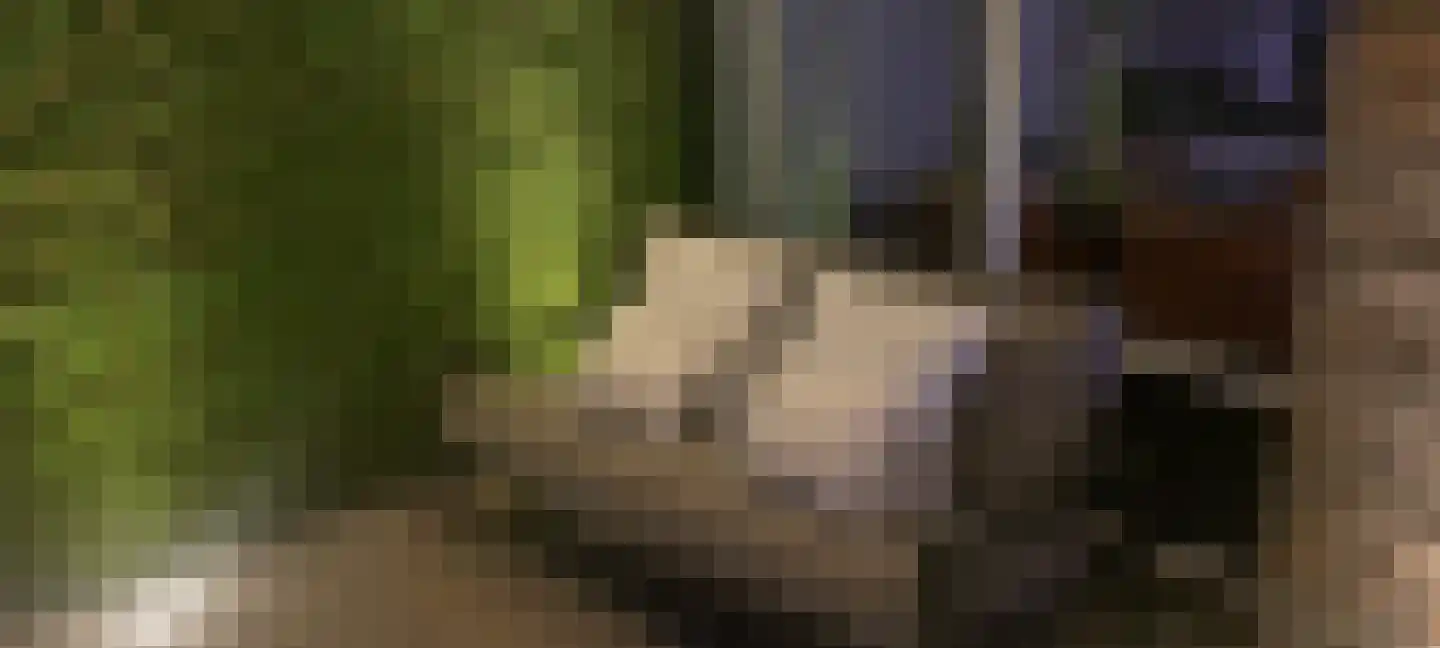 Godfried Bomansweg 18 Woerden thumbnail 29