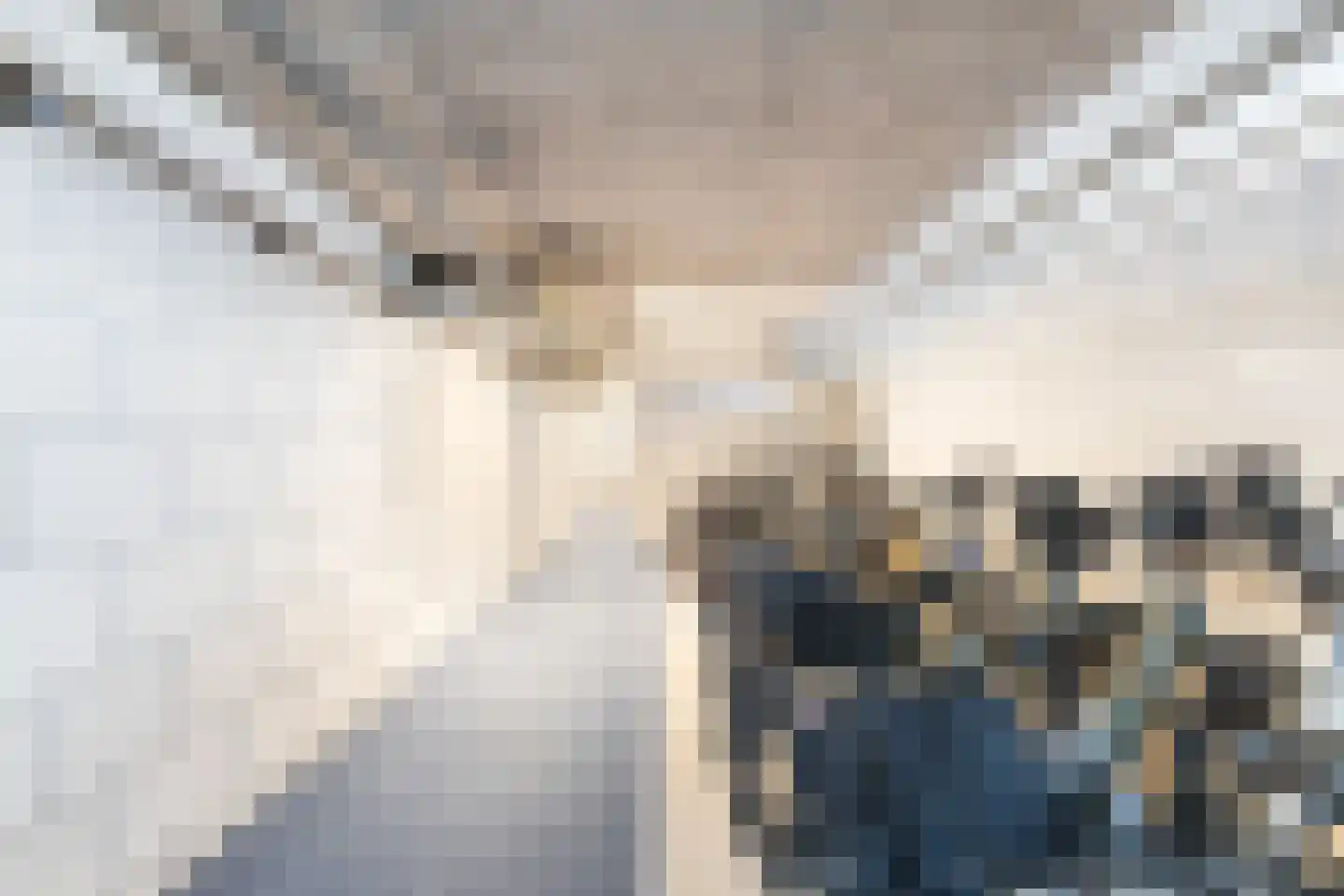 Godfried Bomansweg 18 Woerden thumbnail 33