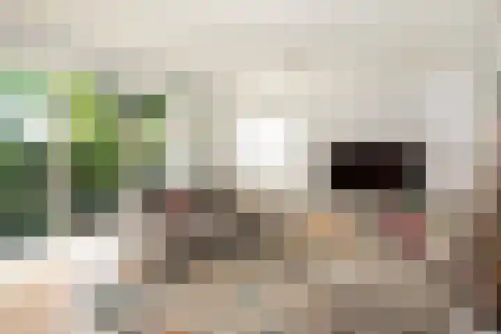 Godfried Bomansweg 29 Woerden thumbnail 13