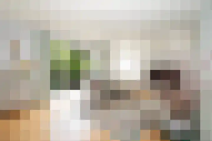 Godfried Bomansweg 29 Woerden thumbnail 14