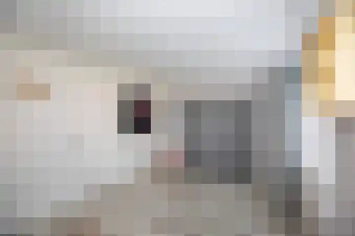 Godfried Bomansweg 29 Woerden thumbnail 38