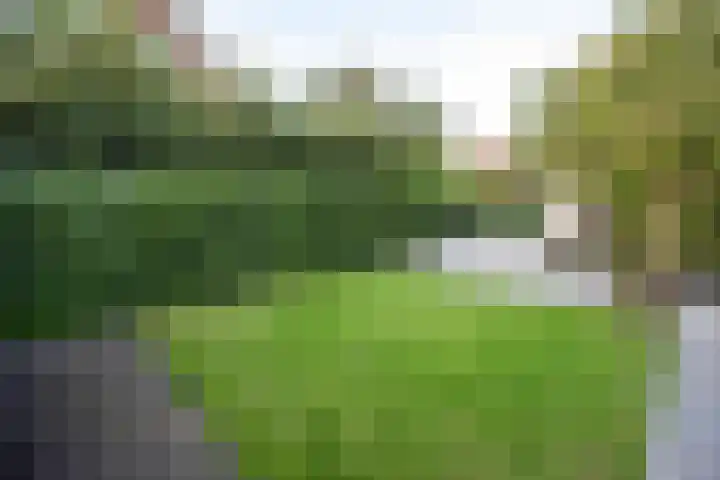 Godfried Bomansweg 29 Woerden thumbnail 59