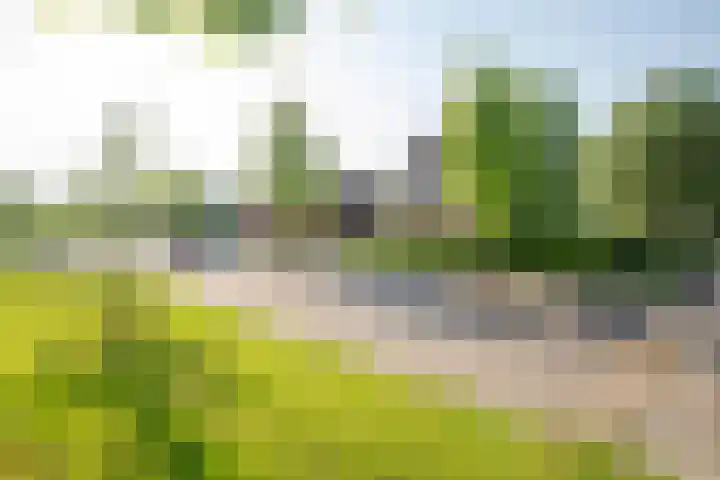 Godfried Bomansweg 29 Woerden thumbnail 6