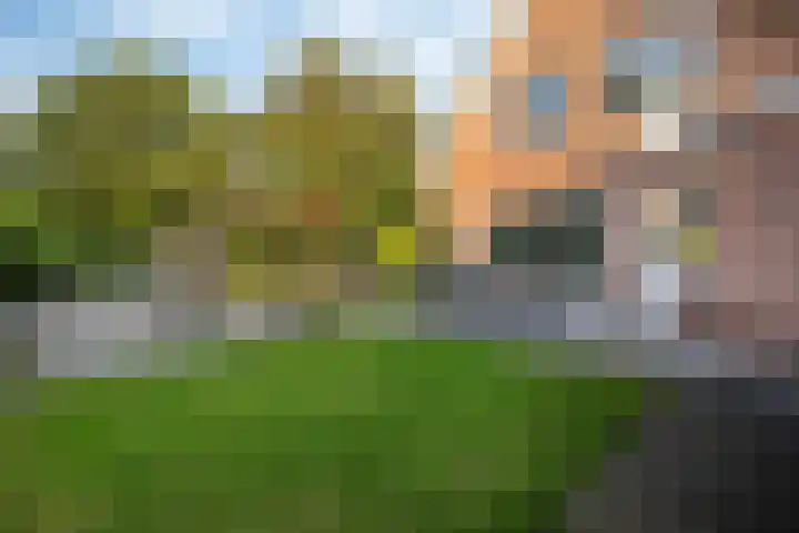 Godfried Bomansweg 29 Woerden thumbnail 62