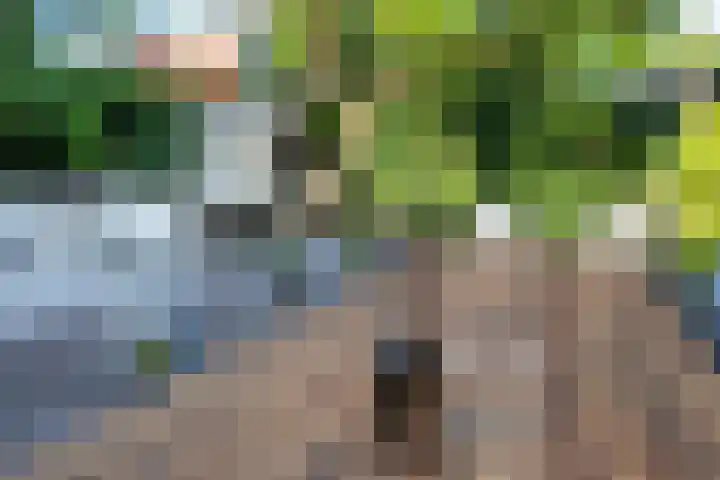 Godfried Bomansweg 29 Woerden thumbnail 63
