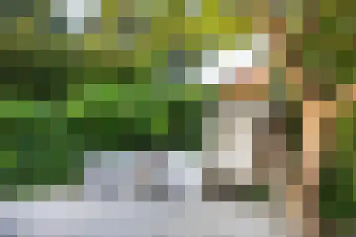 Godfried Bomansweg 29 Woerden thumbnail 64