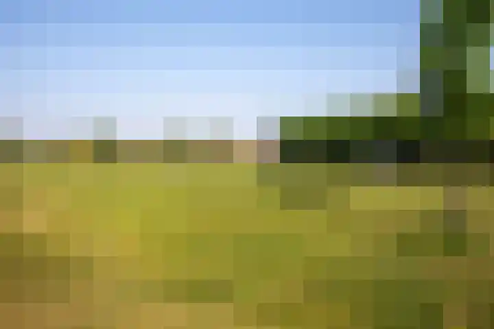 Godfried Bomansweg 29 Woerden thumbnail 68