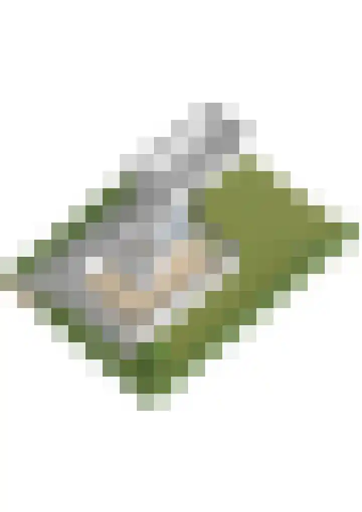 Godfried Bomansweg 29 Woerden thumbnail 71