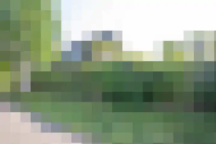 Godfried Bomansweg 29 Woerden thumbnail 9