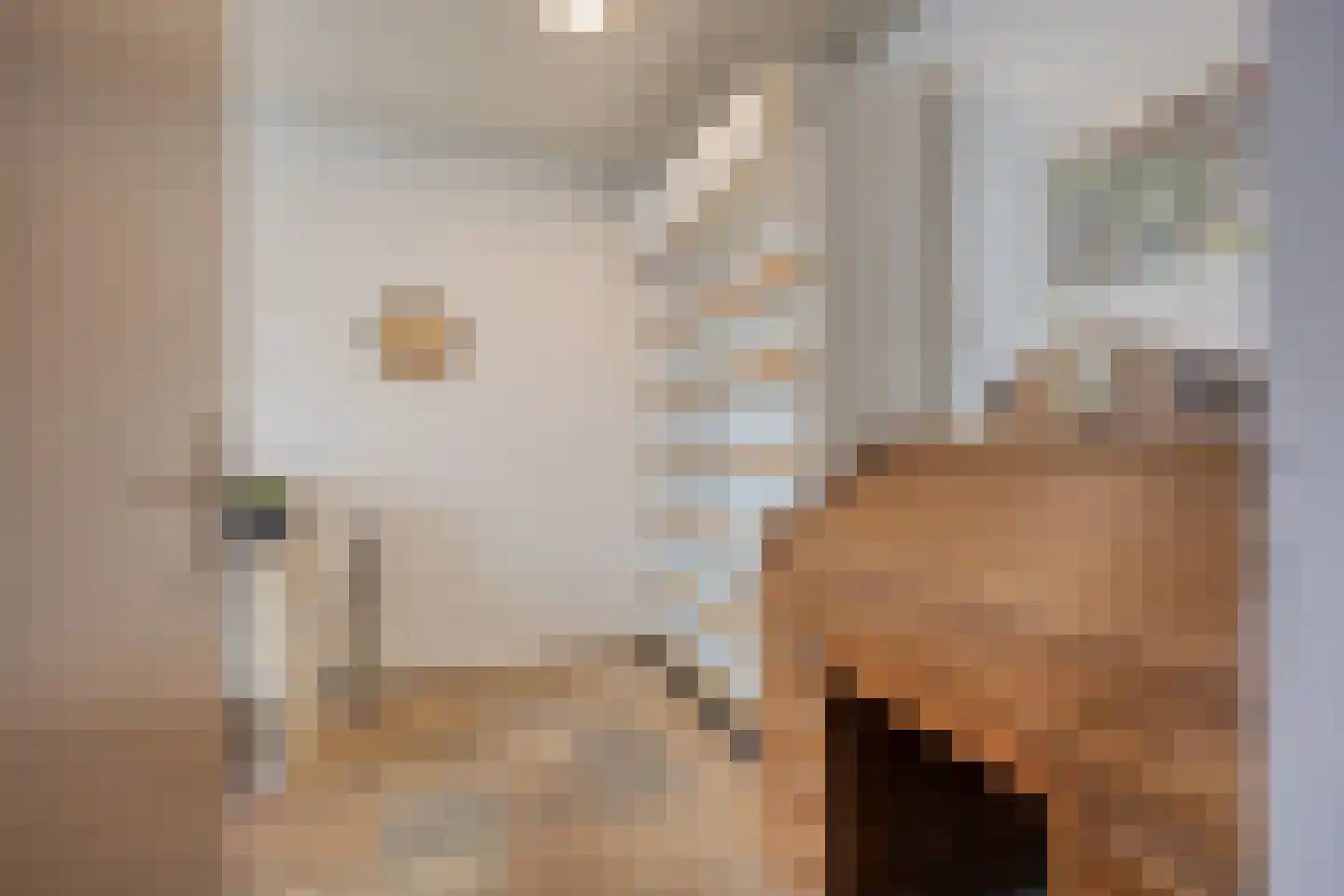 Godfried Schalckenstraat 23 Made thumbnail 21
