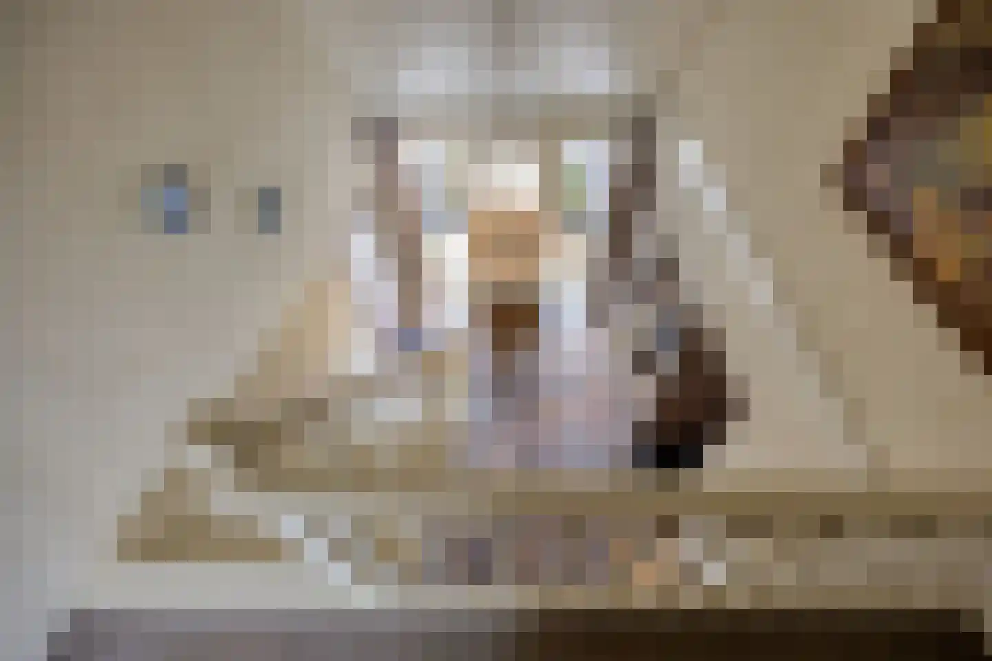 Godfried Schalckenstraat 23 Made thumbnail 36