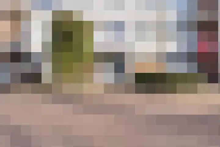 Godfried Schalkenstraat 64 Rosmalen thumbnail 23