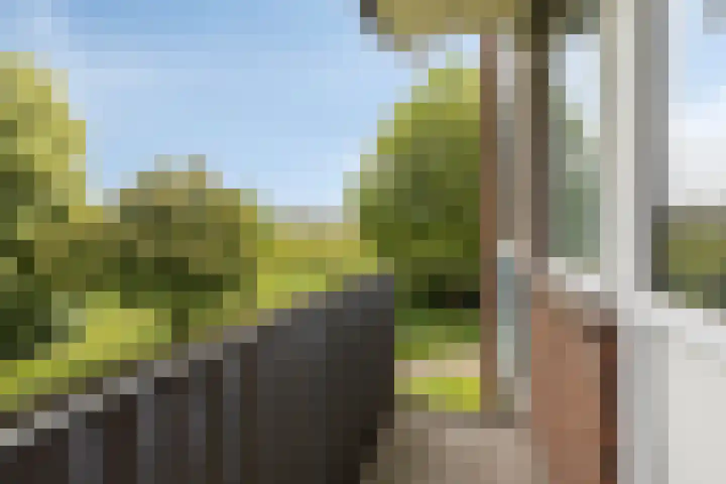 Godfried Schalkenstraat 76 Rosmalen thumbnail 18
