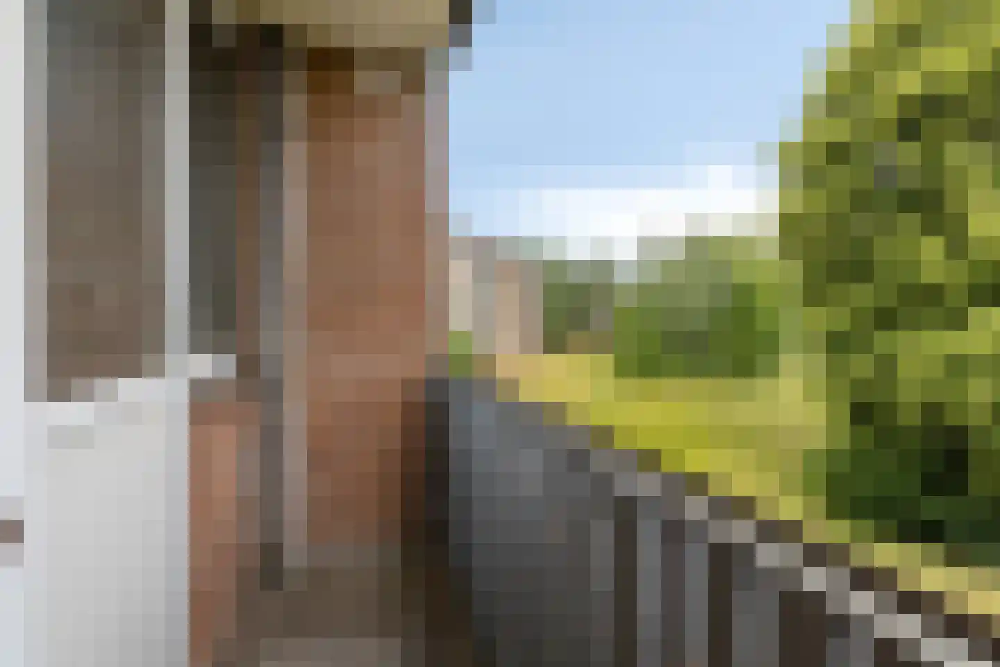 Godfried Schalkenstraat 76 Rosmalen thumbnail 19