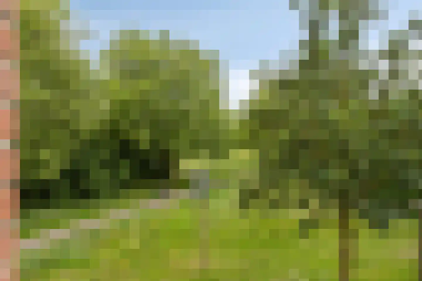 Godfried Schalkenstraat 76 Rosmalen thumbnail 21