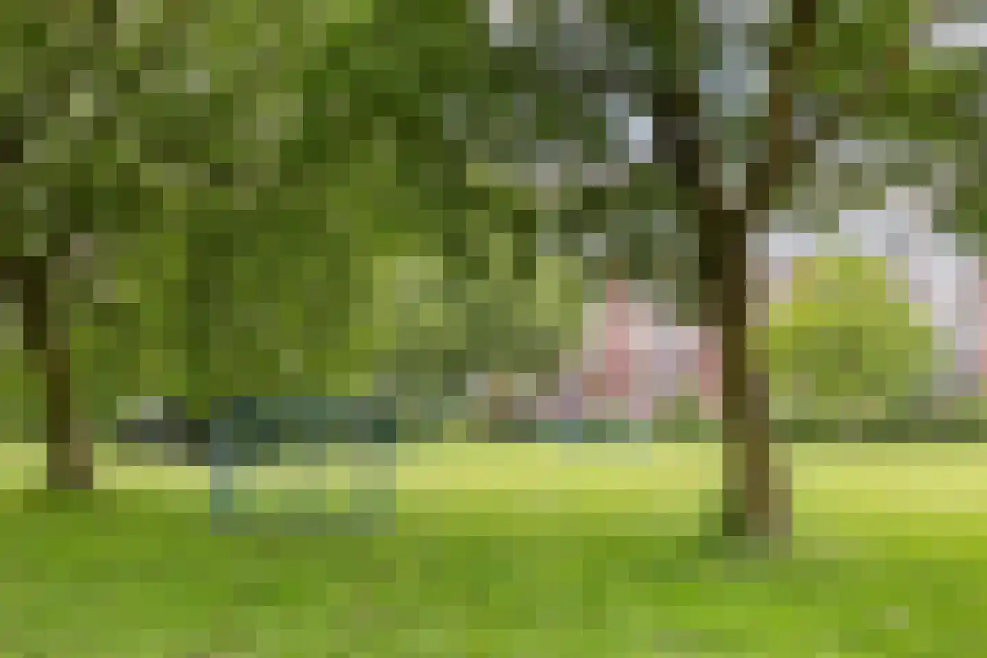 Godfried Schalkenstraat 76 Rosmalen thumbnail 32