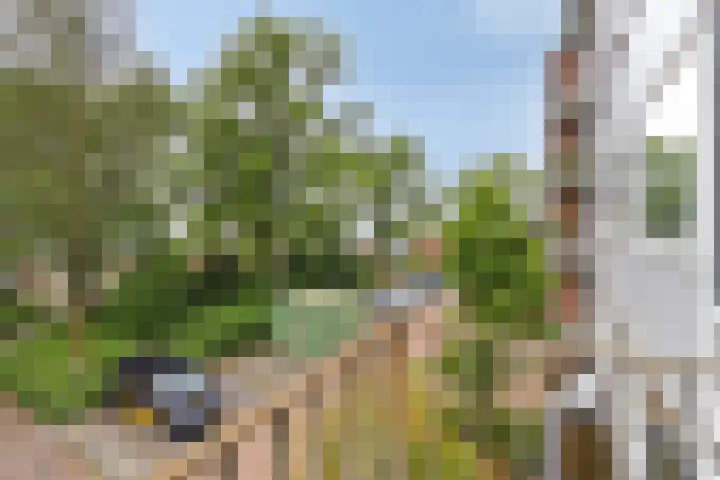 Godfried Schalkenstraat 76 Rosmalen thumbnail 7