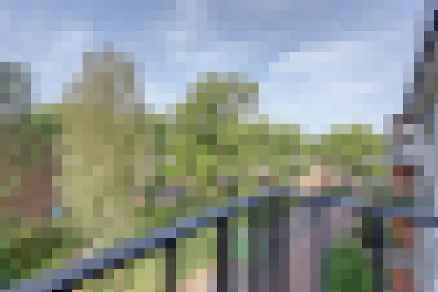Godfried Schalkenstraat 80 Rosmalen thumbnail 30