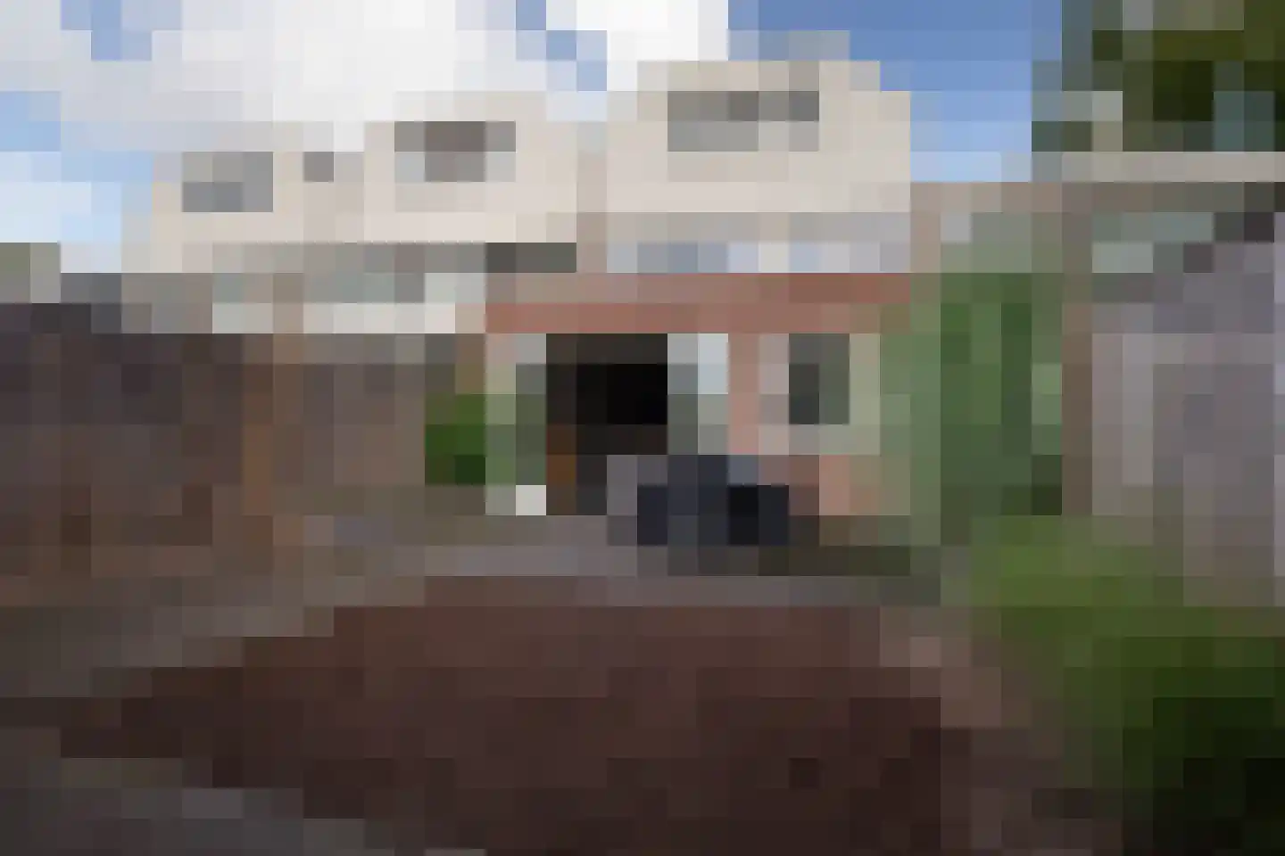 Godfried Schalkenstraat 9 Rosmalen thumbnail 19