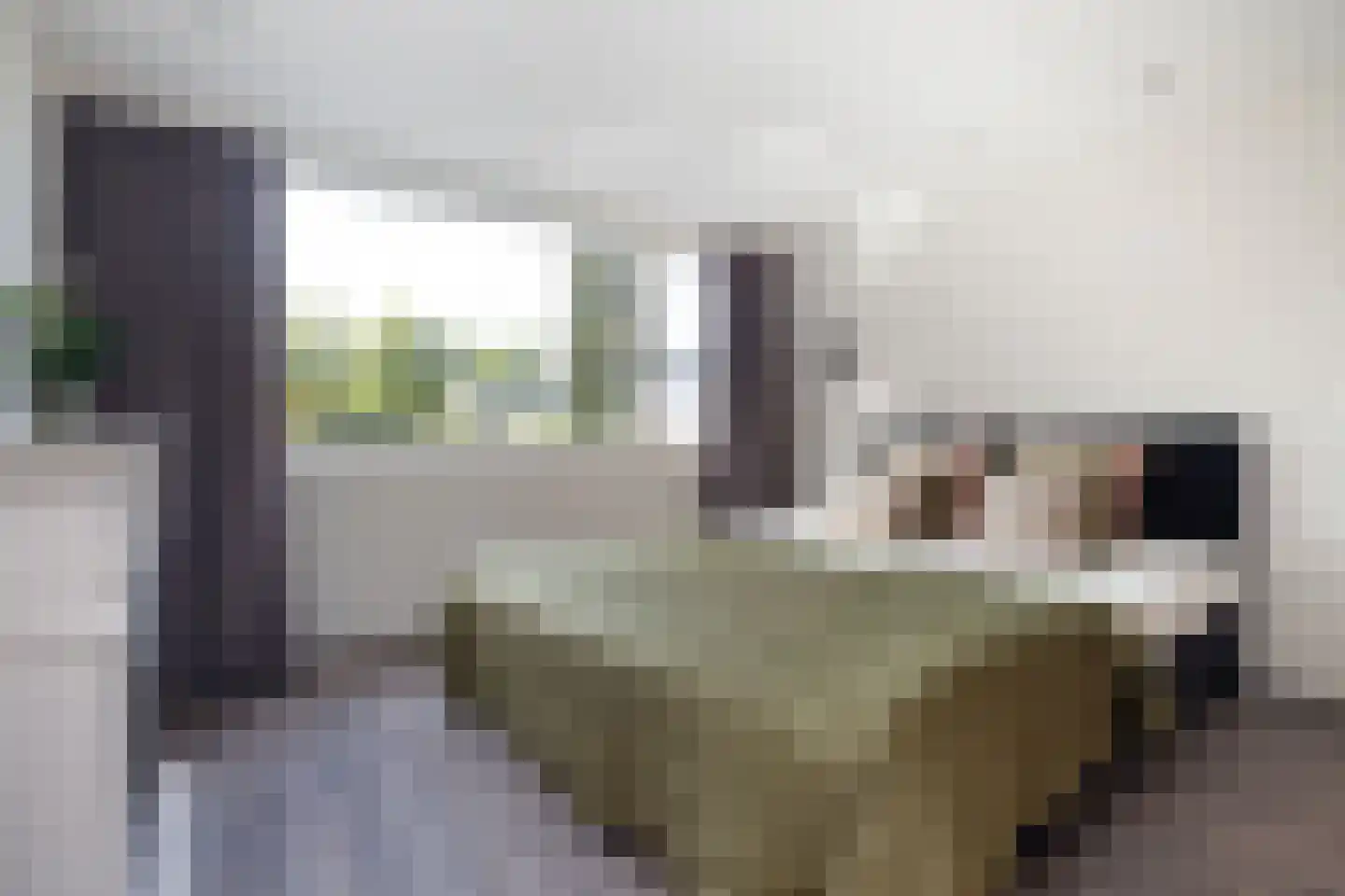 Godfried Schalkenstraat 9 Rosmalen thumbnail 22