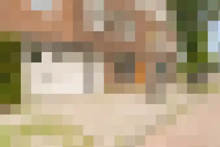 Godfried van Bouillonstraat 61 RD Haarlem thumbnail 10