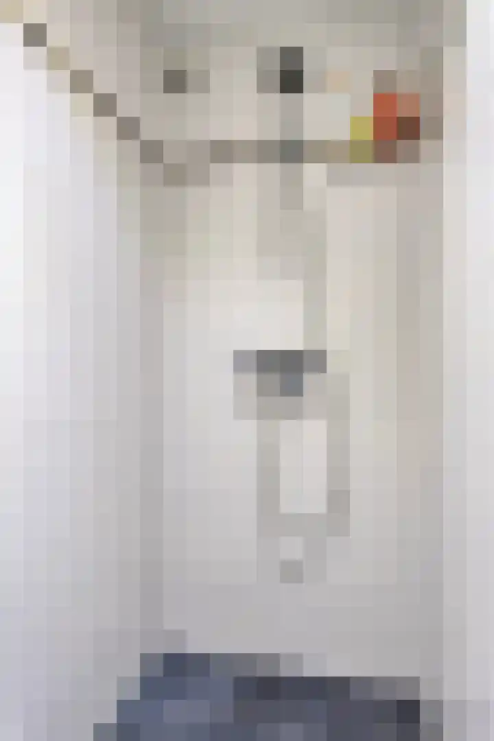 Godfried van Rhenenlaan 17 Vollenhove thumbnail 21