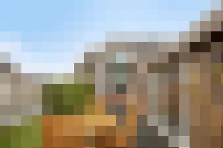 Godfried van Rhenenlaan 17 Vollenhove thumbnail 27
