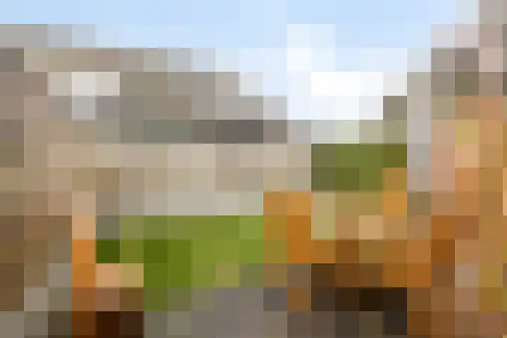Godfried van Rhenenlaan 17 Vollenhove thumbnail 28