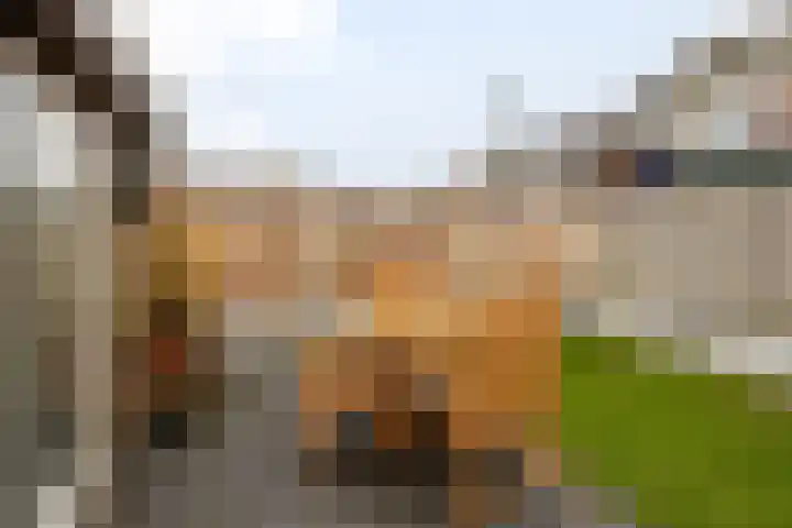 Godfried van Rhenenlaan 17 Vollenhove thumbnail 29