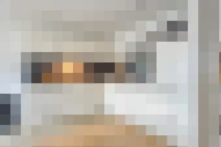 Godfried van Rhenenlaan 17 Vollenhove thumbnail 9
