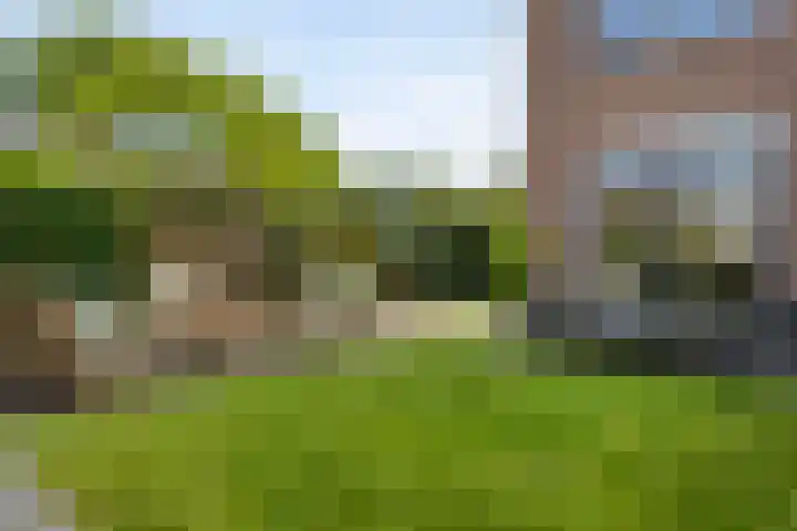 Godfried van Rhenenlaan 2 Montfoort thumbnail 13