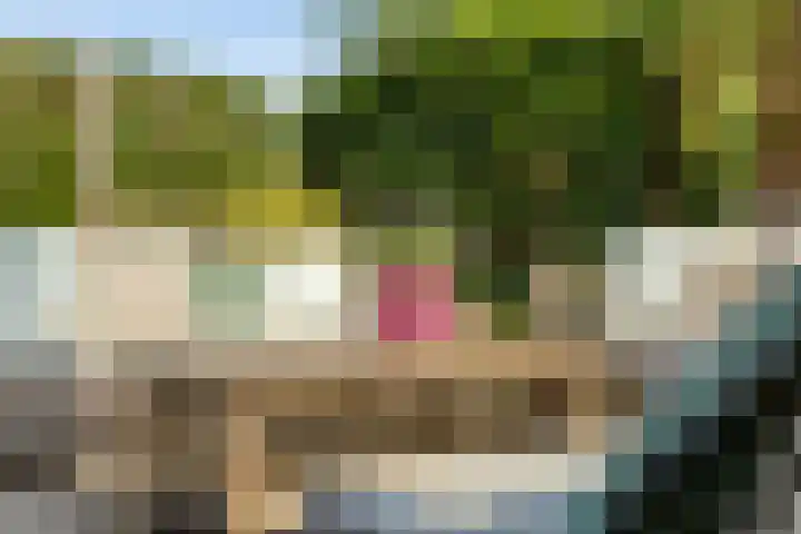 Godfried van Rhenenlaan 2 Montfoort thumbnail 14