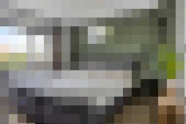 Godfried van Rhenenlaan 2 Montfoort thumbnail 17