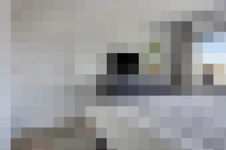 Godfried van Rhenenlaan 2 Montfoort thumbnail 18