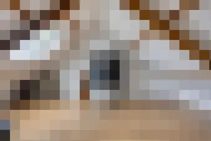Godfried van Rhenenlaan 2 Montfoort thumbnail 26