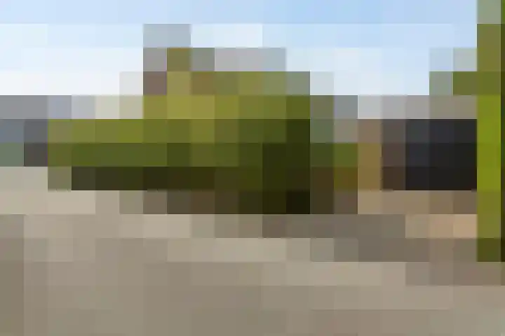 Godfried van Rhenenlaan 2 Montfoort thumbnail 27
