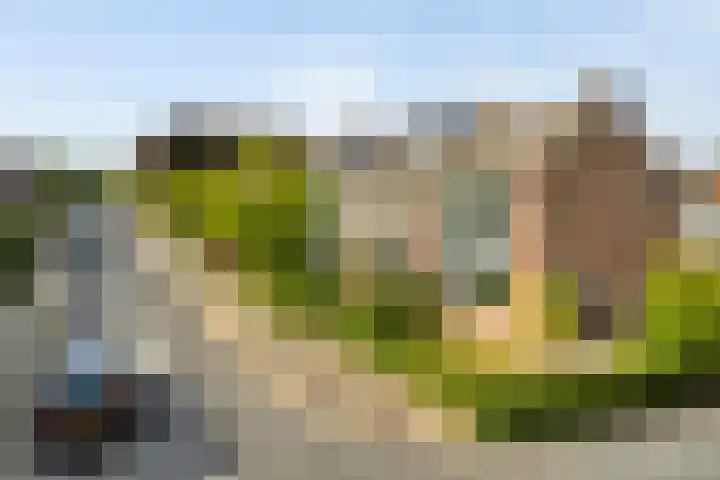 Godfried van Rhenenlaan 2 Montfoort thumbnail 30