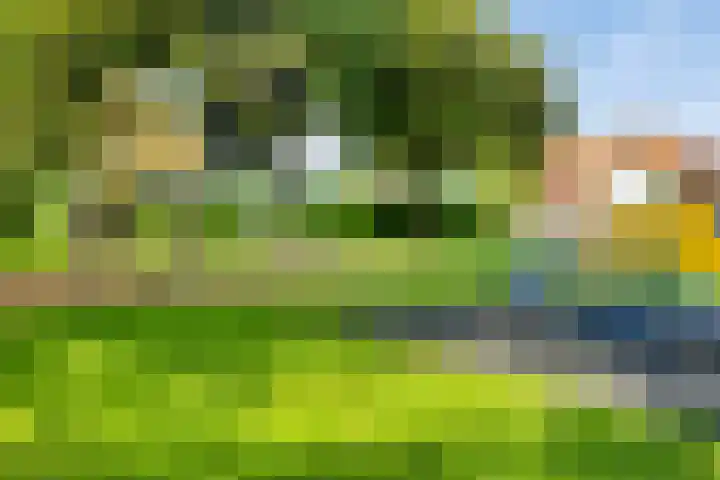 Godfried van Rhenenlaan 2 Montfoort thumbnail 32